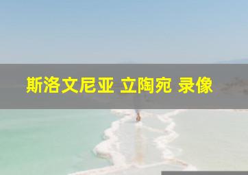 斯洛文尼亚 立陶宛 录像